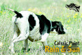 Pedigree CLASSIC POINT RAIN N SUN named RAIN